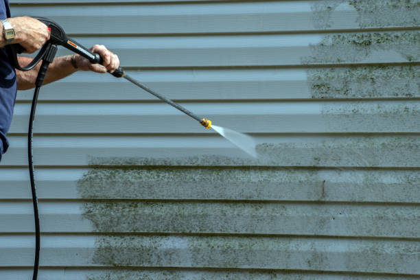 Best Roof Pressure Washing  in Winona, MN